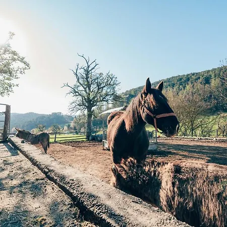 Huedahof Апартаменты Niemtal