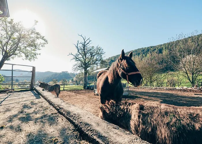 Huedahof 아파트 Niemtal